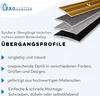 PROVISTON Übergangsprofil | 1.8 x 38 x 1000 mm | Produktbild-Vorschau 4