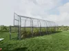 Szklarnia BALTIC LT 3x6m (dł. x szer.) z poliwęglanu 6 mm. Podgląd zdjęcia produktu 2