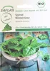 SAFLAX  -- Epinard d'hiver - 250 graines - Spinacia Voir les images du produit 10