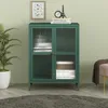 A green sideboard with glass doors is shown in a room with a plant and a rug. Podgląd zdjęcia produktu