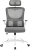 WOLTU Bürostuhl ergonomisch, Schreibtischstuhl Netzstoff, Produktbild-Vorschau 9