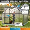 BRAST Gewächshaus Aluminium mit Fundament | 310x250x205cm | Produktbild-Vorschau 6