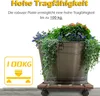 Sessamen-LP 2x WPC Pflanzenroller 30 x 30 cm Tragkraft 100 Produktbild-Vorschau 4