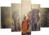 Bild auf Leinwand - Leinwandbild - Elefant Mönch Dschungel Produktbild-Vorschau 1