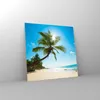 Bilder auf glas - Strand Palme Meer - 70x70cm - Glasbilder Produktbild-Vorschau 4