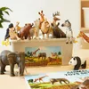 Mideer Sběratelská sada zvířatek ze ZOO 15 ks Náhled obrázku produktu 3