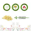 Chili Lombardo Samen - sehr mild - Capsicum annuum - Produktbild-Vorschau 2
