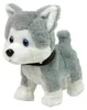 Husky interaktivní Náhled obrázku produktu 2