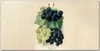 Coloray Küchenrückwand 120x60 Spritzschutz aus Glas - Obst Produktbild-Vorschau 1