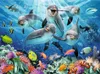 500 Teile Ravensburger Puzzle Delfine im Korallenriff 14710 Produktbild-Vorschau 2
