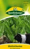 Quedlinburger Saatgut - Blattzichorie (für Futterzwecke) - Produktbild-Vorschau 5