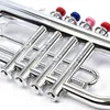 Bontempi Trompete 324231, 4 Töne, Silber Produktbild-Vorschau 5