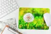MuchoWow® Mauspad Mousepad Löwenzahn - Gras - Blume 27x18 Produktbild-Vorschau 5