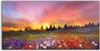 Coloray Spritzschutz aus Glas 120x60  Wandkunst Produktbild-Vorschau 1