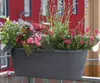 Geli Blumenkasten Maya 50 cm anthrazit Produktbild-Vorschau 6