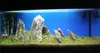 Aquarium Hintergrund Blau Selbstklebende Folie wasserfest Produktbild-Vorschau 6