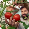 Nawóz ogrodniczy granulat uniwersalny Azofoska 5kg Podgląd zdjęcia produktu 10