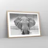 Gerahmtes Poster - Rahmen in heller Eiche - Elefant Afrika Produktbild-Vorschau 8