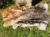 Echtes Schaffell  – rustikales Naturfell für Teppich, Produktbild-Vorschau 10