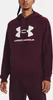 Mikina UA Rival Fleece Logo HD-MRN Náhled obrázku produktu 1