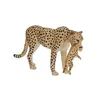 Animal Planet figurina animale - Ghepardo femmina con Anteprima dell’immagine prodotto 5