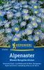 Kiepenkerl Alpenastersamen Blaues Bergsteinkraut Aster Produktbild-Vorschau 1