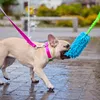Dingo Bungee-Hundespielzeug Mopp-Chaser Beißspielzeug Blau Produktbild-Vorschau 11