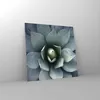 Bilder auf glas - Einteilig - Blau Blätter Agave - 30x30cm Produktbild-Vorschau 4