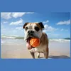 Waboba Woof Pack Hundespielzeug Set Wurfscheibe Sprungball Produktbild-Vorschau 24