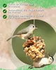 Two birds are eating from a pine cone feeder filled with seeds and fat. Produktbild-Vorschau