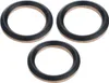 Kolbenpumpe Ersatzteil Set – Reparatursatz mit Stahlkugeln Produktbild-Vorschau 5