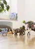 SCHLEICH 14812 Figurine de jouet Lion Voir les images du produit 5