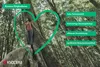 A person stands on a large tree root in a forest, with a green heart shape overlaid on the image. Náhled obrázku produktu