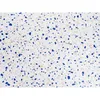 Klebefolie Möbel 67x740 cm - Terrazzo Blau - Möbelfolie Produktbild-Vorschau 5