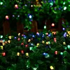 Colorful LED string lights are woven through green foliage, with a wooden fence in the background. Produktbild-Vorschau