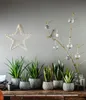 Dehner Teufelszunge, Sansevieria zeylanica, grün Produktbild-Vorschau 3
