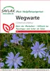 SAFLAX - cikorka - Cichorium intybus - 250 Semena Náhled obrázku produktu 6