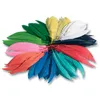 folia plumes d'indien 100 g couleurs assorties Voir les images du produit 6