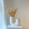 Lagurus Hasenschwanz Samtgras Trockenblumen 60-70cm DIY Produktbild-Vorschau 2