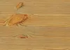 Nachtkommode Nachtschrank Nachtkasten Bettkommode Landhaus Produktbild-Vorschau 2