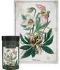 INTERDRUK Puzzle Botanic : Hellébore 1000 pièces Voir les images du produit 1
