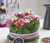 OASIS® Ideal Nass-Steckschaum Zylinder JOSKO, grün, 7cm, Produktbild-Vorschau 3