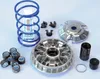 Polini Variomatik Polini Hispeed Piaggio 200-250-300 Podgląd zdjęcia produktu 1