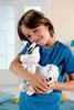 Power Puppy Il mio cane robot intelligente con funzione di Anteprima dell’immagine prodotto 17