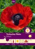 Artikelbild 1 von 'Türkischer Mohn Brillant' aus der Kategorie Mohnsamen Produktbild-Vorschau