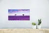MuchoWow® Poster Lavendel - Natur - Lila - Bäume - Blumen Produktbild-Vorschau 5