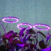Vollspektrum LED Pflanzenlampe Dimmbar 3 Ring Pflanzenlicht Produktbild-Vorschau 9