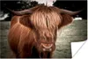 MuchoWow® Poster Schottisches Hochlandrind - Baum - Gras Produktbild-Vorschau 1