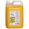 Gottlieb EI szampon 5 l - jajeczny z olejem makadamia Podgląd zdjęcia produktu 1