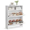 VASAGLE skříňka na boty 2 klapky výklopný botník 24x80x102 Náhled obrázku produktu 5